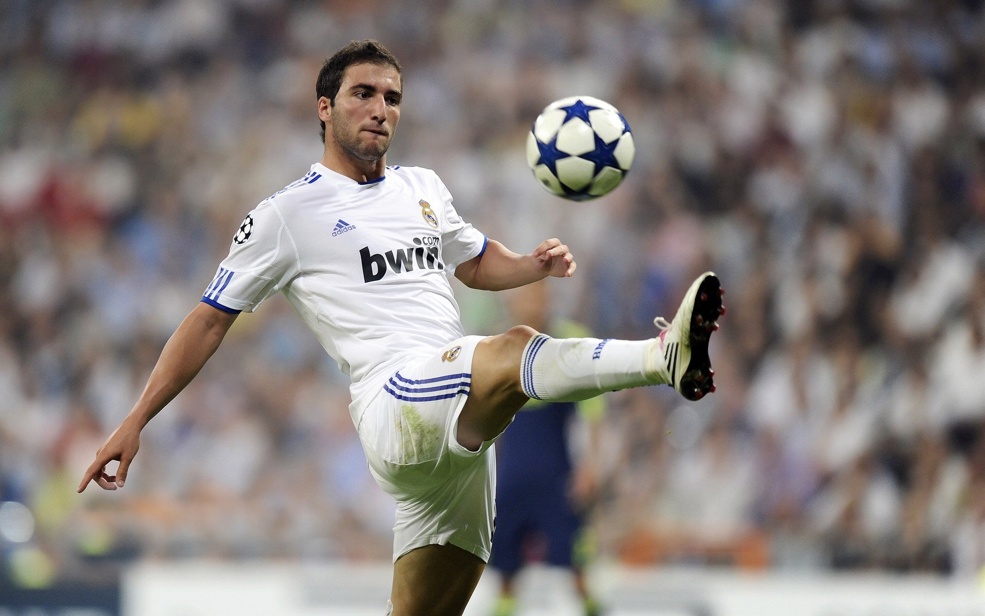 凯恩·瑞安:全黑队年轻才俊,进攻与防守兼备的全能球员,凯恩vs雷尔