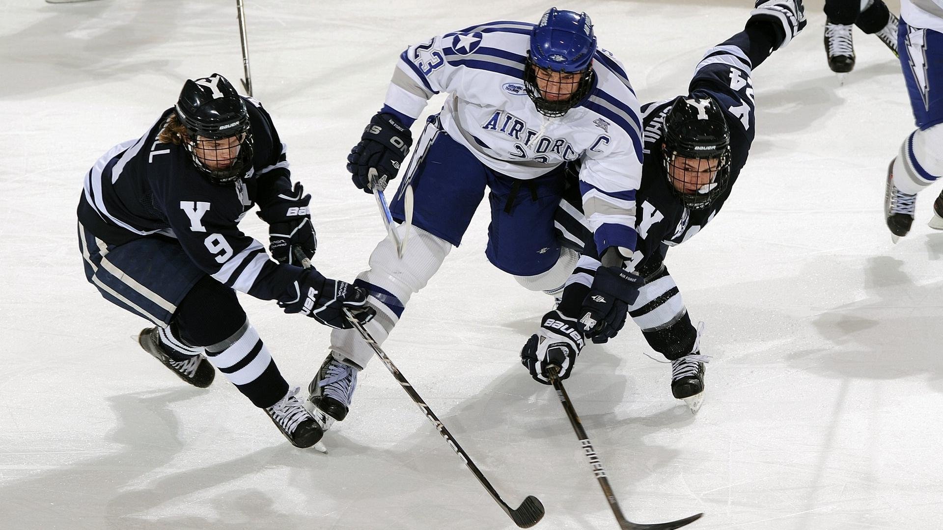 项目间协同推进，促进综合实力增长，协调项目推进