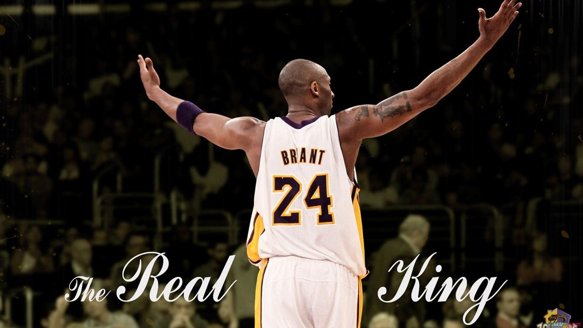 “罗密欧·冈萨雷斯的攻防兼备与技术深度，推动阿根廷美洲狮队走向顶级”